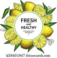 Lemon frame vector drawing. Citrus fruit circle label template. Lemon frame vector drawing. Citrus fruit circle label template.