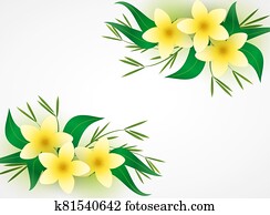 Natural background, the spa still life Natural background, the spa still life