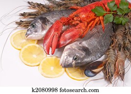seafood seafood
