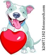 Valentine Pit Bull Dog Valentine Pit Bull Dog
