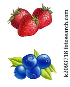 Berries Berries