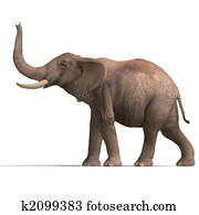 huge elephant huge elephant