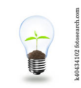Light Bulb with sprout inside Light Bulb with sprout inside
