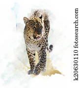 Watercolor Image Of Leopard Watercolor Image Of Leopard