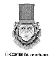 チンパンジー イラスト 1000 チンパンジー 画像 Fotosearch