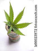 cannabis, lapotne, ar, rolled, amerikānis, dollars, dzeršana uz vietas, balts, cēlonis