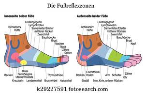 Foot Reflexology Side German