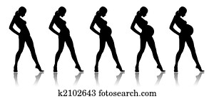 Pregnancy Pregnancy