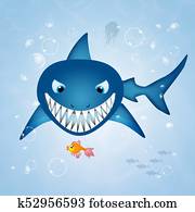 shark in the ocean shark in the ocean