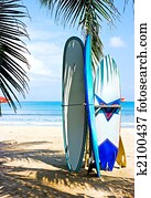 Surf boards on the beach Surf boards on the beach