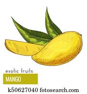Mango with leaves. Mango with leaves.