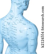 Acupuncture Concept Acupuncture Concept