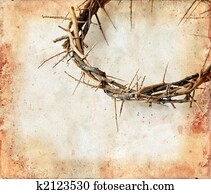 Crown of Thorns on Grunge Background Crown of Thorns on Grunge Background