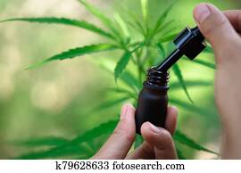Hand of scientist checking hemp plants in a greenhouse. Marijuana research, cbd oil, alternative herbal medicine concept, pharmaceptical industry. Hand of scientist checking hemp plants in a greenhouse. Marijuana research, cbd oil, alternative herbal medicine concept, pharmaceptical industry.