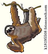 sloth sloth