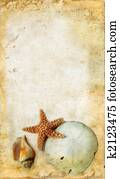 Starfish and Shells on a Grunge Background Starfish and Shells on a Grunge Background