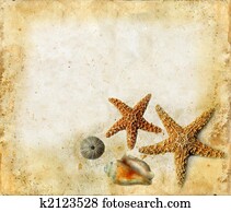 Starfish and Shells on a Grunger Background Starfish and Shells on a Grunger Background