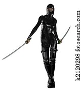 Ninja Weiblich Ninja Weiblich