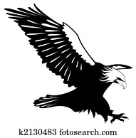 An eagle with wings open An eagle with wings open