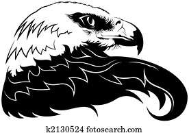 Eagle Eagle