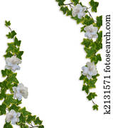 Floral Border Ivy and Gardenias Floral Border Ivy and Gardenias