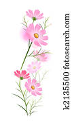 flower flower