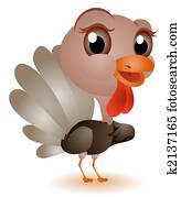 Young Turkey Young Turkey