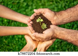 Group of people holding young plant in hands Group of people holding young plant in hands