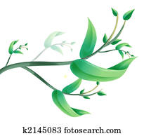 leaves leaves
