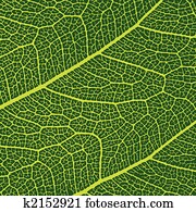 vector leaves macro texture