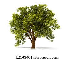 3d summerl tree 3d summerl tree