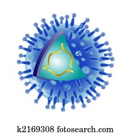 anatomia, de, um, vírus gripe, estrutura