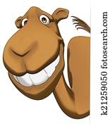 Camel Camel