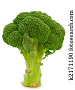 broccoli broccoli