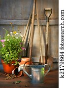 Garden tools and a pot of summer flowers in shed Garden tools and a pot of summer flowers in shed