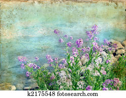 Spring Flowers on a Grunge Background Spring Flowers on a Grunge Background