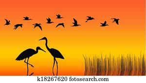 Storks in the middle of a reservoir Storks in the middle of a reservoir