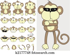 חמוד, קוף, קבע