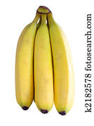 banana banana