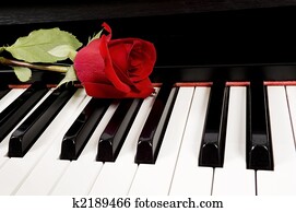 Red Rose on Piano Red Rose on Piano
