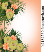 Tropical Hibiscus Flowers border Tropical Hibiscus Flowers border