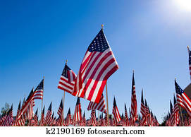 bandeira americana, exposição, em, honra, de, dia veterans