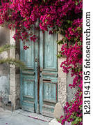 Old wooden door with bougainvillea in Cyprus Old wooden door with bougainvillea in Cyprus