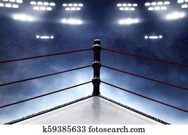 Professional boxing ring Professional boxing ring