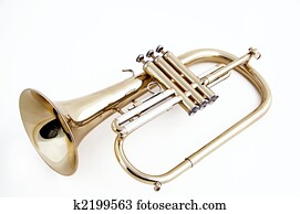 Trumpet flugelhorn Isolated on White