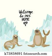 Two fur seals on the background of the glacier. Lettering Welcome to our home. Vector print design Two fur seals on the background of the glacier. Lettering Welcome to our home. Vector print design