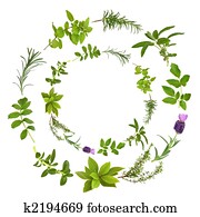 תקציר, עשב, דפדף, עצב