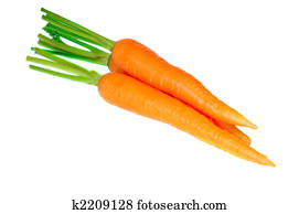 Carrot Carrot
