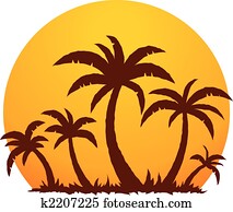 coqueiros, e, verão, pôr do sol