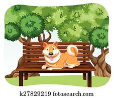 Dog on bench Dog on bench